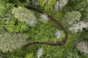 Québec Mega Trail: the Beast of the East
